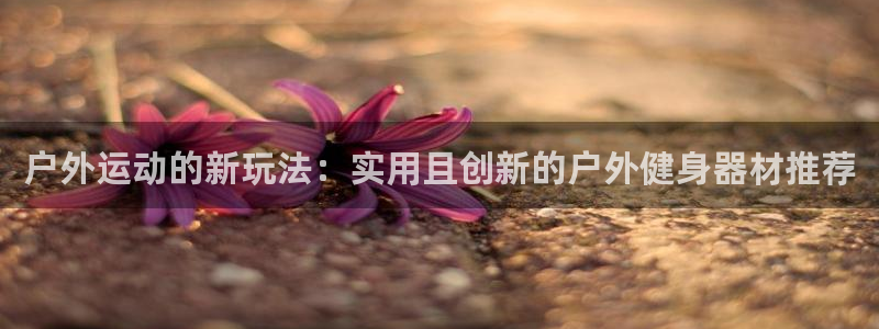 意昂4娱乐平台：户外运动的新玩法：实用且创新的户外健身器材推