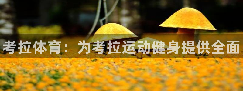 意昂体育4招商电话地址是多少：考拉体育：为考拉运动健身提供全