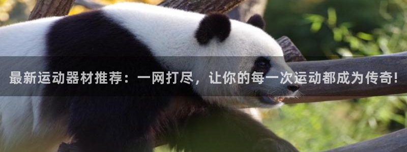 意昂体育4招商电话