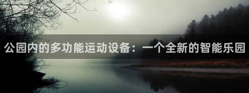 意昂体育4平台假的吗是真的吗吗：公园内的多功能运动设备：一个
