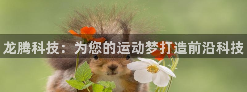 意昂4开户：龙腾科技：为您的运动梦打造前沿科技