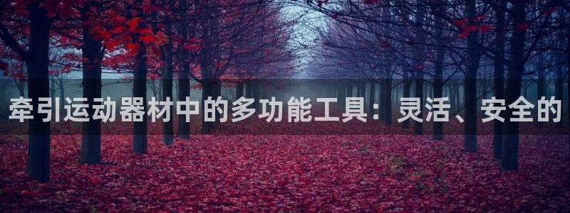 德国意昂4集团：牵引运动器材中的多功能工具：灵活、安全的