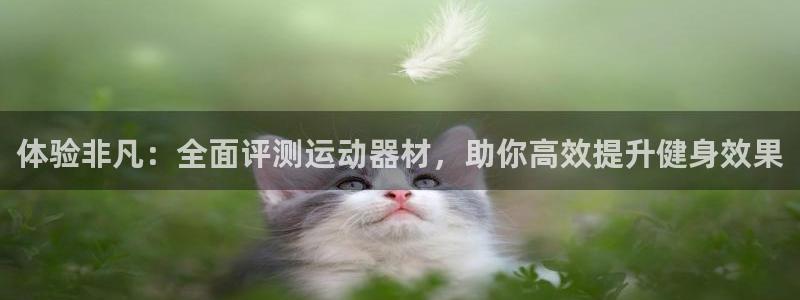 意昂体育4招商电话号码查询：体验非凡：全面评测运动器材，助你