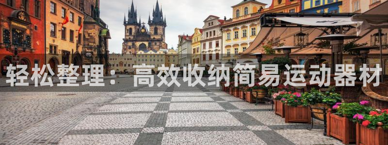 意昂4娱乐是那个系列的台子：轻松整理：高效收纳简易运动器材