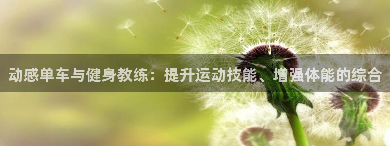 意昂体育4：动感单车与健身教练：提升运动技能、增强体能的综合