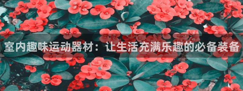 意昂4娱乐40996：室内趣味运动器材：让生活充满乐趣的必备