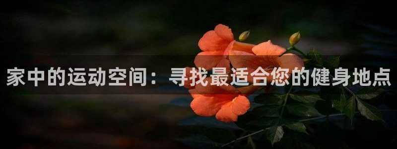 意昂体育4招商电话地址是多少：家中的运动空间：寻找最适合您的