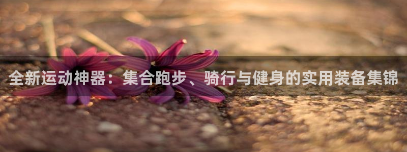 意昂4科技：全新运动神器：集合跑步、骑行与健身的实用装备集锦