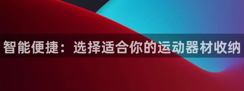 意昂4新能源：智能便捷：选择适合你的运动器材收纳