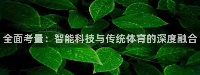 意昂体育4平台是正规平台吗：全面考量：智能科技与传统体育的深