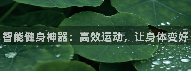 意昂4神州：智能健身神器：高效运动，让身体变好