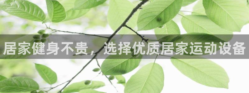 意昂4娱乐首页官网下载：居家健身不贵，选择优质居家运动设备